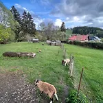 Appartamento Se Slunnou Teráskou V Kašperkách *