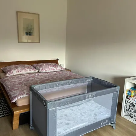 Apartment Se Slunnou Teraskou V Kasperkach Kasperske Hory
